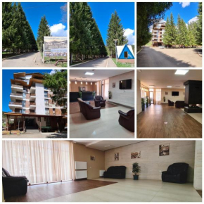 Bakuriani City - Apartment N510.